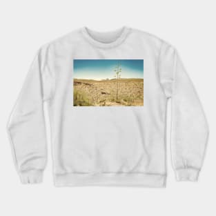 Century Plant in Arizona Crewneck Sweatshirt